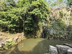 -大雁山风景区
