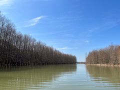 -上海海湾国家森林公园