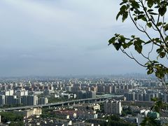 -杭州半山国家森林公园