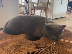 -Me Coffee下午茶艺术空间