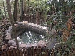 -花水湾第一村温泉大酒店