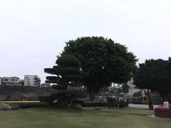 -石炮台公园