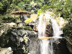 -牛背梁国家森林公园