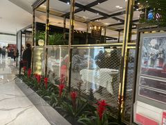 -LOEWE罗意威(北京SKP女装店(一层))