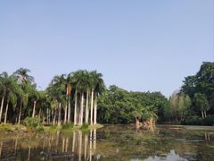 -昆明植物园