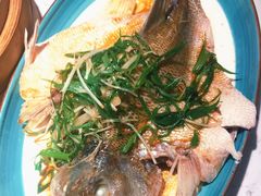 -大榕树下顺德菜(融创茂店)