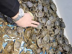 -集品鲜湾·蒸汽海鲜自助料理(青岛银座和谐广场店)