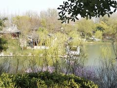 -昆山城市生态森林公园