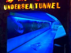 -太平洋海底世界