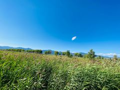 -野鸭湖国家湿地公园