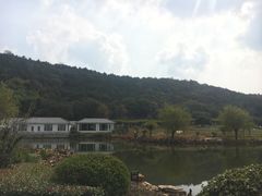 -龙寺生态园