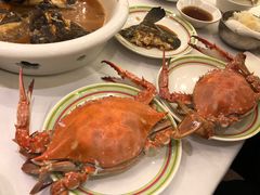 清蒸梭子蟹-开海·红岛海鲜虾水饺(石老人店)