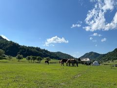 -关山草原