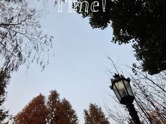-莫愁湖公园