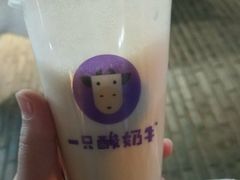 -一只酸奶牛(奎星楼店)
