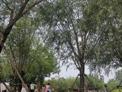 -东郊湿地公园
