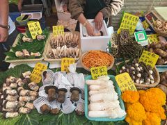 -大观篆新农贸市场