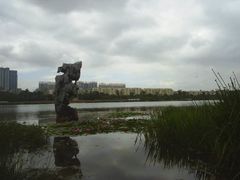 -洛龙公园