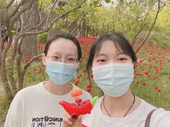 -迎泽公园