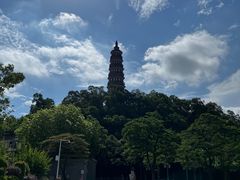 -顺峰山公园
