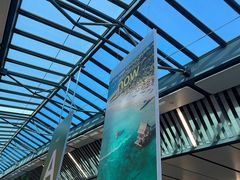 -西沃古尔·拉姆古兰爵士国际机场