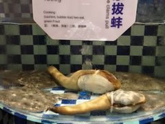 -古韵轩·江浙融合菜(梁溪店)