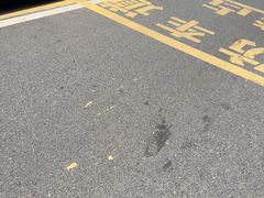 -索拉古贝(义乌北苑店)