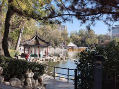 -莲湖公园