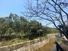 -山明水秀农庄
