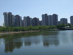 -新江湾城公园