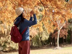 -上海海湾国家森林公园