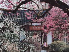 -杭州植物园