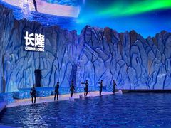 -珠海长隆海洋王国