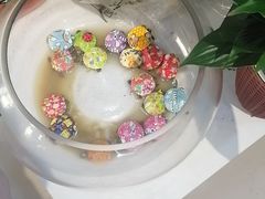 -上方山森林动物世界