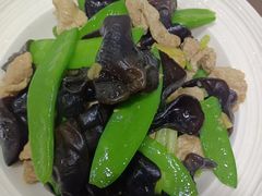 -天鹅到家·保姆月嫂育儿嫂(天河店)