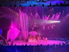 -广州长隆国际大马戏