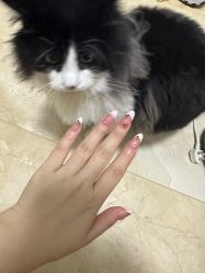 -尤米一站式美甲美睫