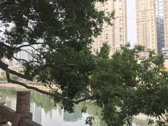 -成都市活水公园
