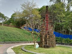 -王借岗森林公园