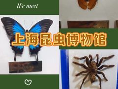 -上海昆虫博物馆