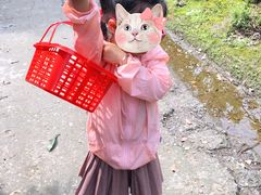 -塘栖枇杷特色园区