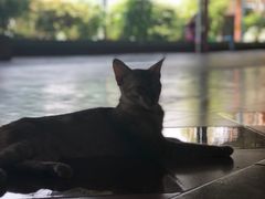 -ခြောက်ထပ်ကြီးရွှေသာလျောင်းဘုရားကြီး