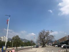 -明记海鲜大排档(巽寮湾店)