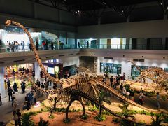 -自贡恐龙博物馆