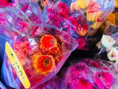 -循礼门鲜花花市(武汉循礼门店)