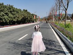 -光明小镇欢乐田园