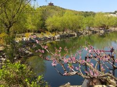 -威海华夏城景区