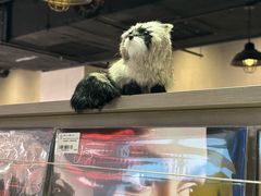 -浣熊唱片店(上海影城店)