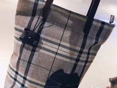 -猫咪博物馆(顶澳仔猫街店)