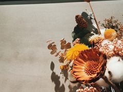 -野鸽子咖啡(中航店)